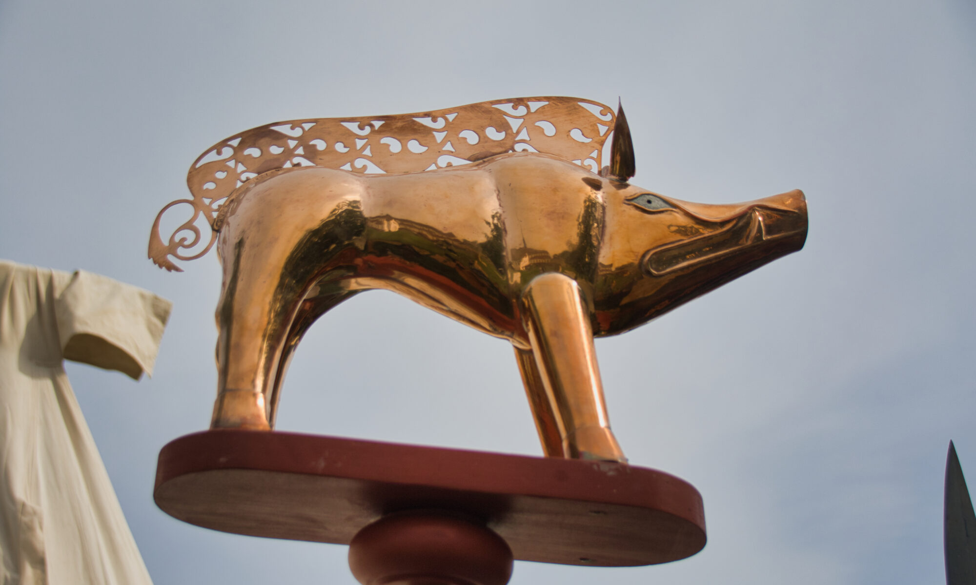 enseigne sanglier vindonissa