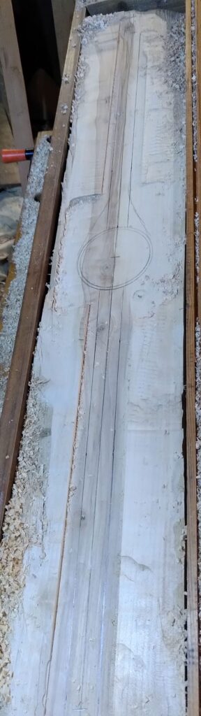 Spina bouclier gaulois bois