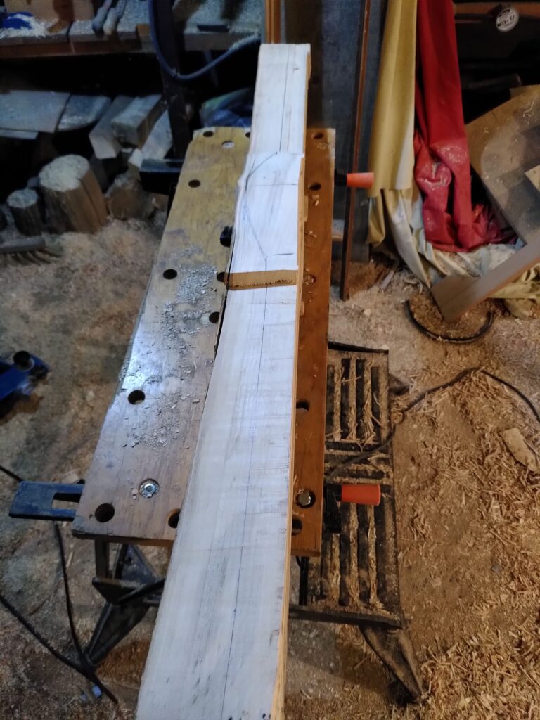 Spina bouclier gaulois bois