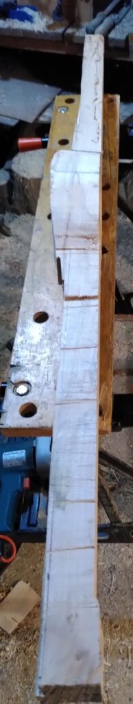 Spina bouclier gaulois bois