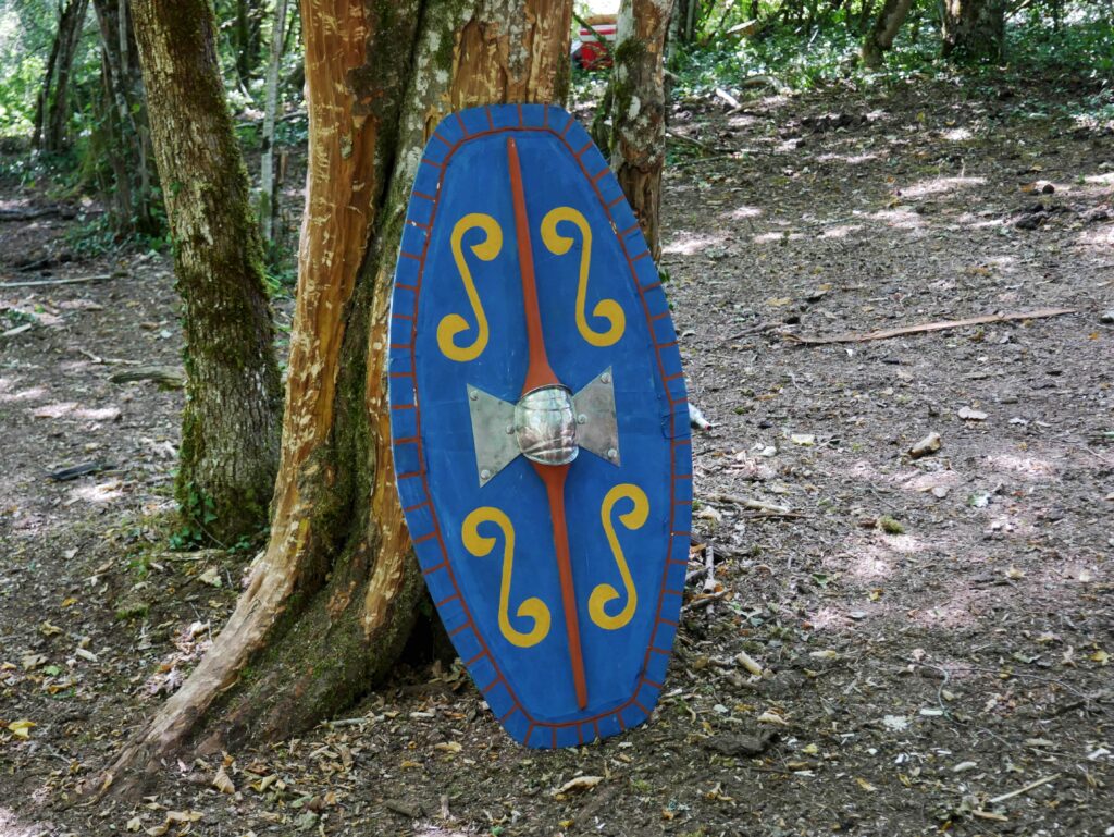 Bouclier celte historical celtic shield
